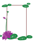 荷花图框