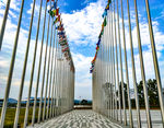 国旗