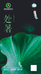 净水朋友圈微信 直饮水广告