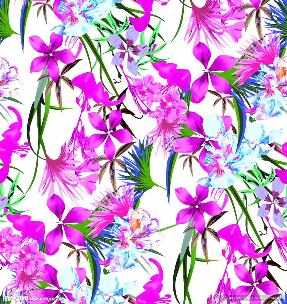 热带花