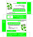 南板蓝根