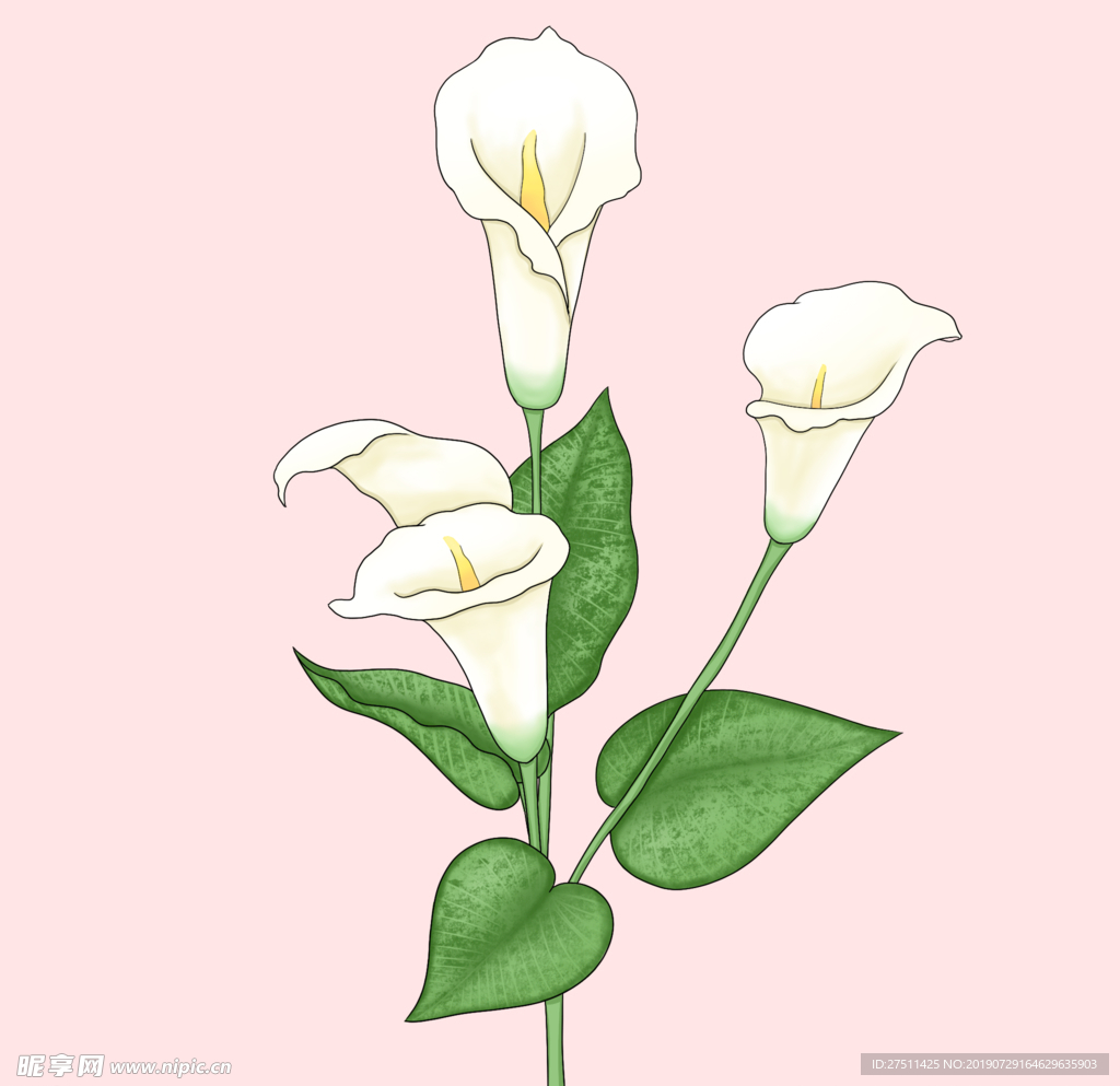 花卉
