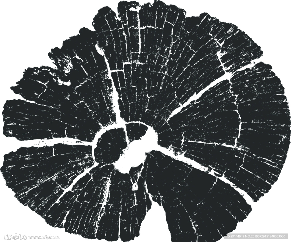 超清树桩横截面年轮矢量