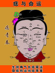 命运痣相图