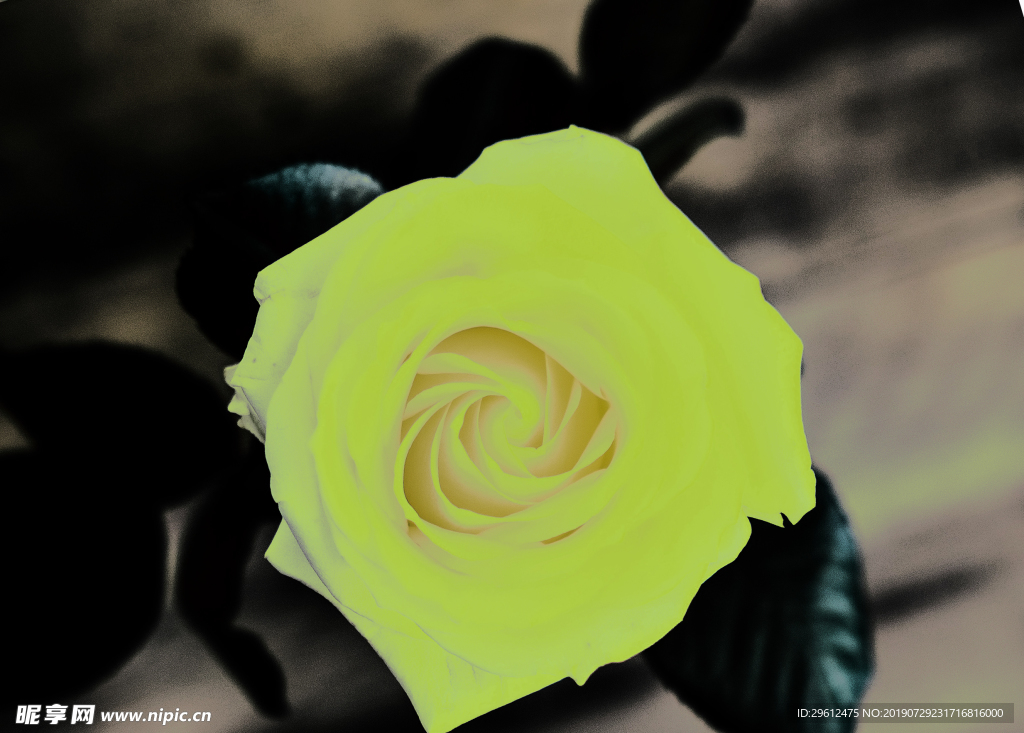 花
