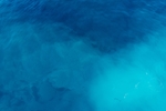 海水