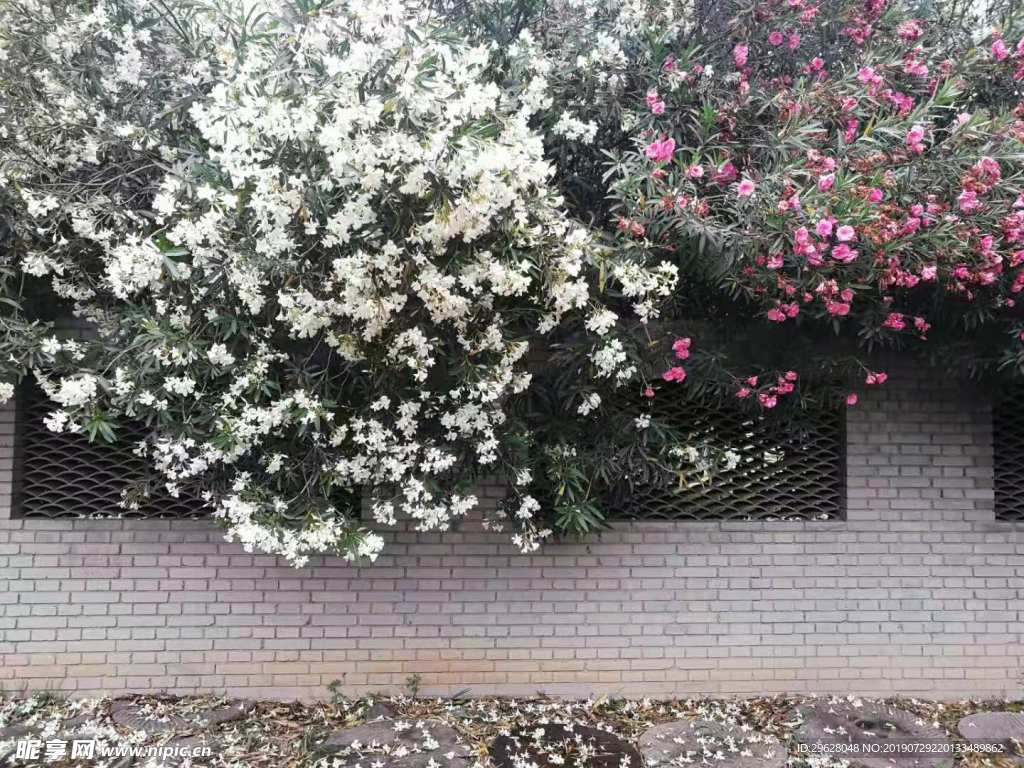 花