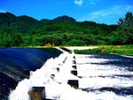 拦河坝