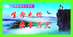 生命无价