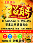 北京蜂业  招聘 蜜蜂