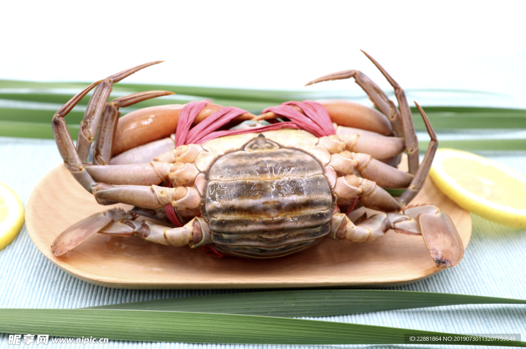 膏蟹母蟹