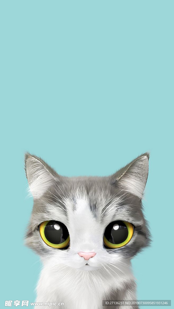 灰白花猫