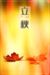 立秋