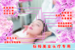 美容养生海报