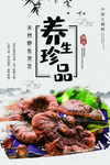 养生珍品灵芝