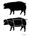 猪体猪肉结构分区