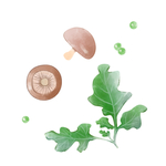 香菇