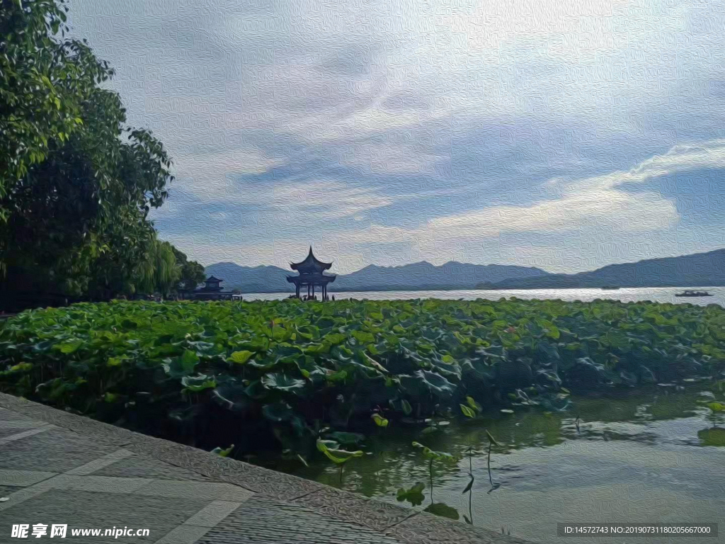 杭州西湖荷花摄影图