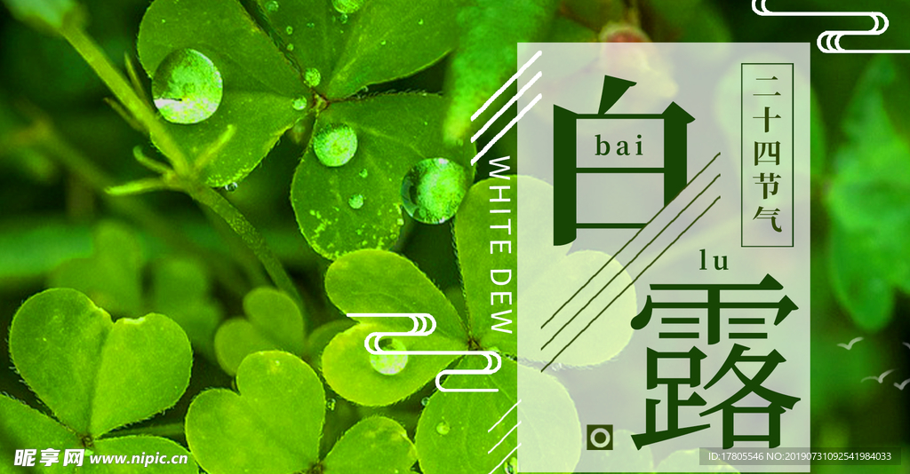 白露海报 白露素材 白露节气