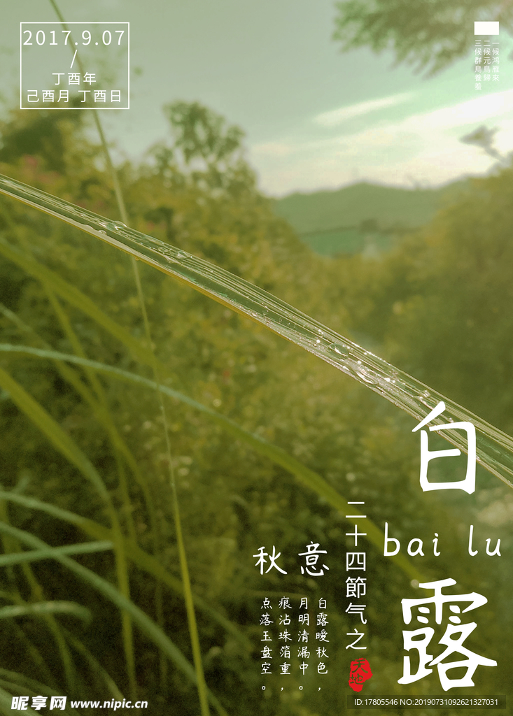 白露海报 白露素材 白露节气
