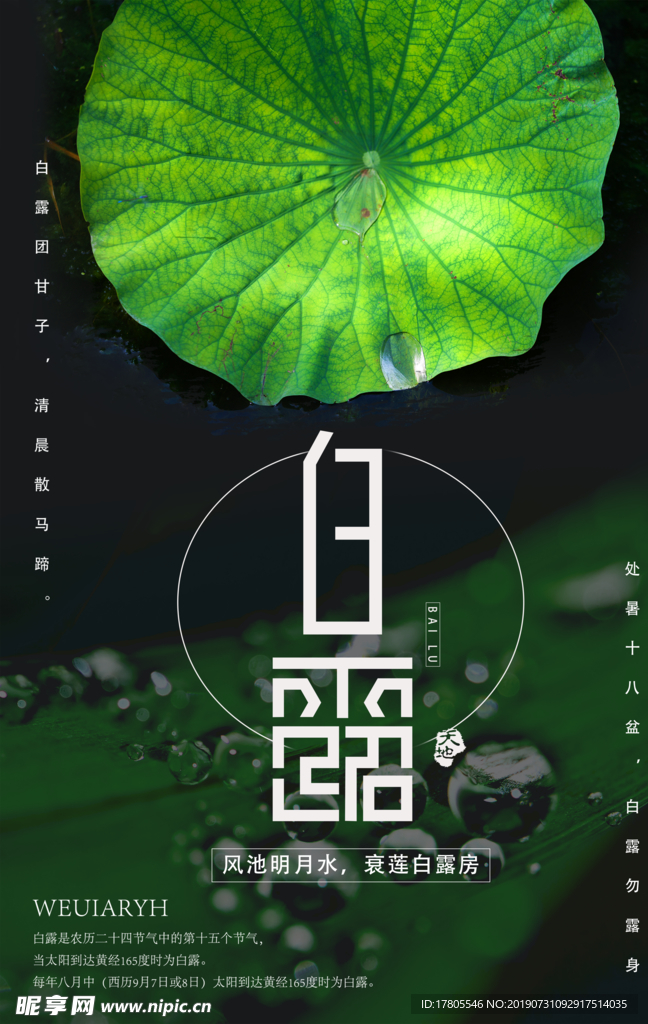 白露海报 白露素材 白露节气