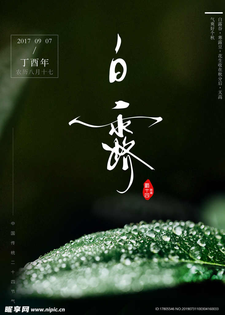白露海报 白露素材 白露节气