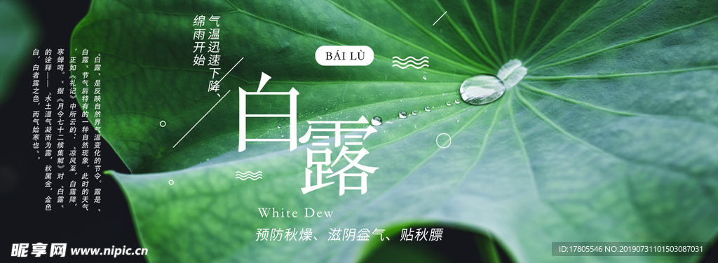 白露海报 白露素材 白露节气