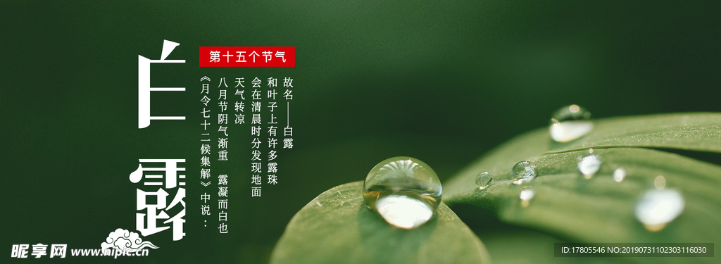 白露海报 白露素材 白露节气