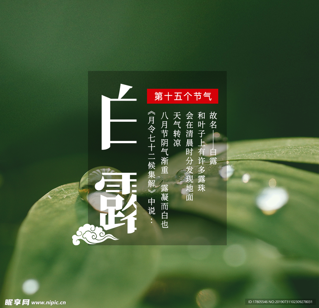 白露海报 白露素材 白露节气