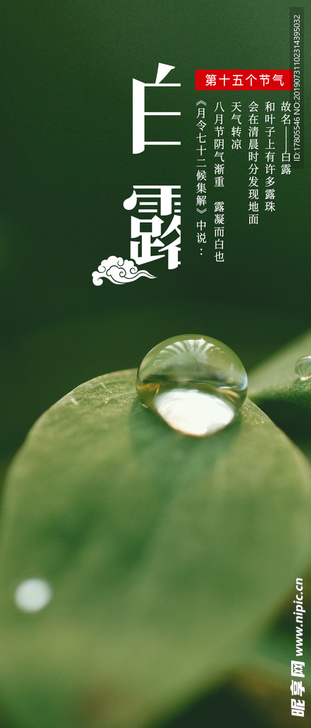 白露海报 白露素材 白露节气
