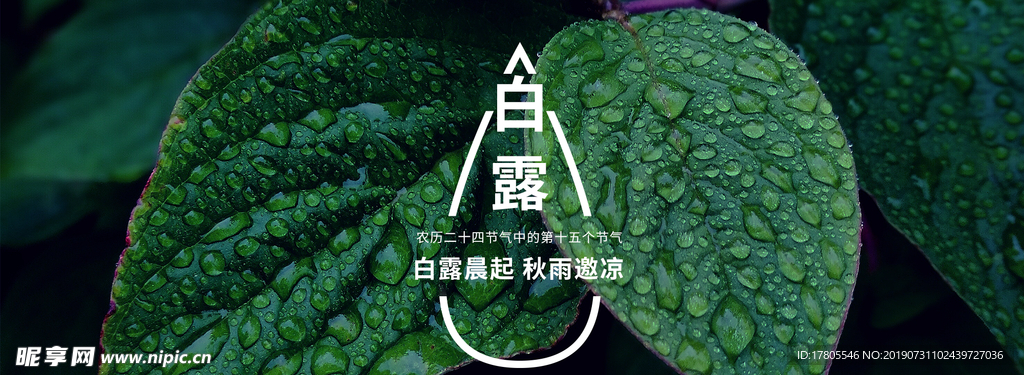 白露海报 白露素材 白露节气