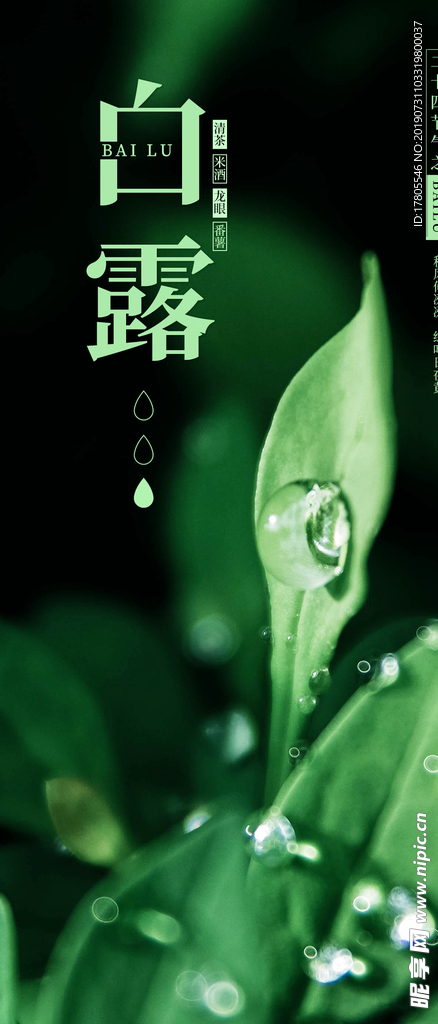 白露海报 白露素材 白露节气