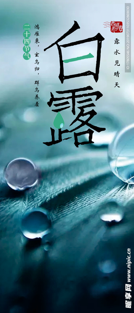 白露海报 白露素材 白露节气