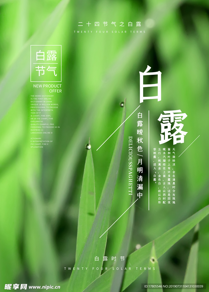 白露海报 白露素材 白露节气