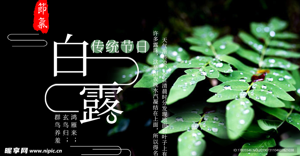 白露海报 白露素材 白露节气