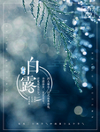 白露海报 白露素材 白露节气