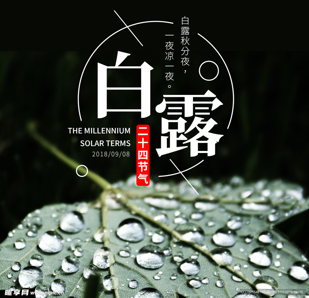 白露海报 白露素材 白露节气