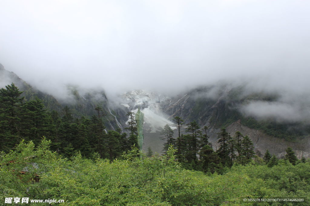 云雾缭绕 草 山 树