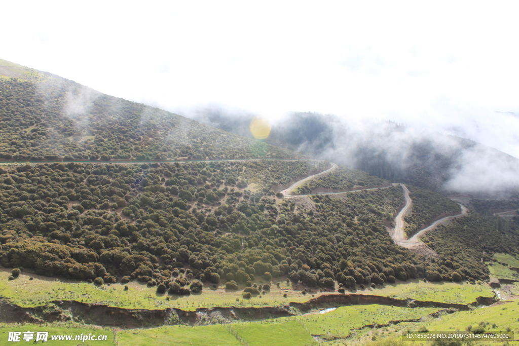 云雾缭绕 山路 山 山树