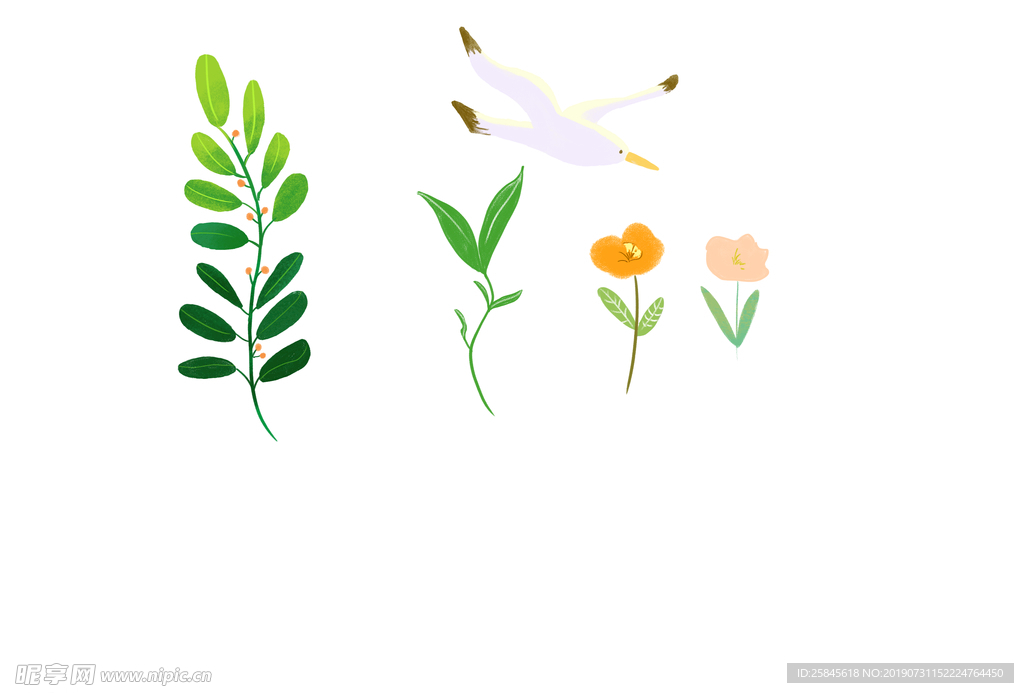 花草