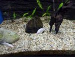 水族馆