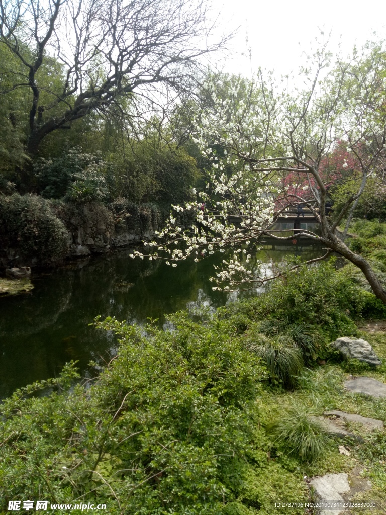 无锡蠡园