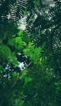 背景图