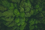 背景图