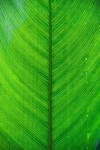 背景图