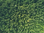 背景图