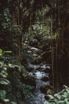 背景图