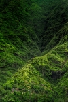 背景图