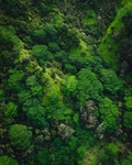 背景图