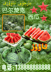 宣传单
